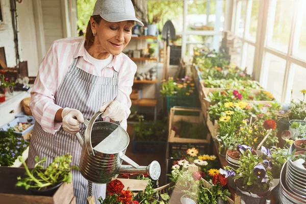 Feliz empresaria regando plantas en su tienda — Foto de Stock