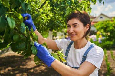 Smiling housewife in gloves taking care for garden