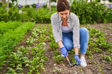 Female person processing black soil before planting seedlings