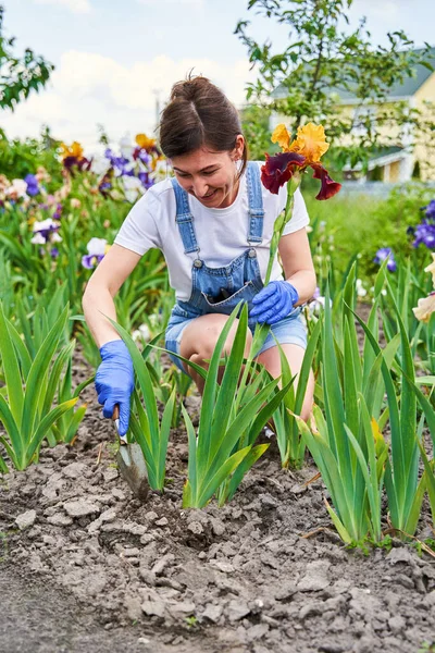 Housewife in blue gloves taking care of flower-garden — Foto de Stock