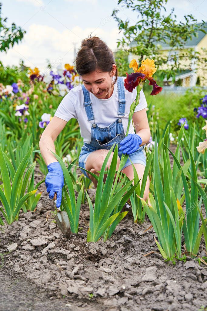 Housewife in blue gloves taking care of flower-garden