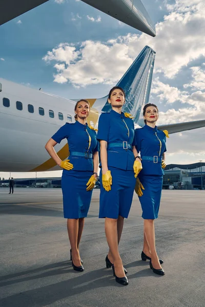 Группа стюардесс, стоящих на аэродроме — стоковое фото