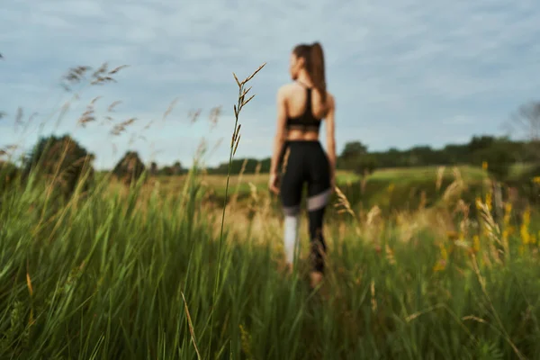 Belleza de la naturaleza sin gente alrededor — Foto de Stock