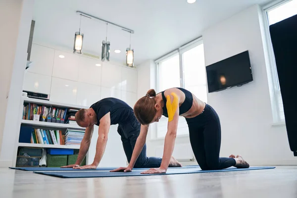 Joven bastante elegante femenino y limpio masculino practicando gato yoga pose en moderno estudio —  Fotos de Stock