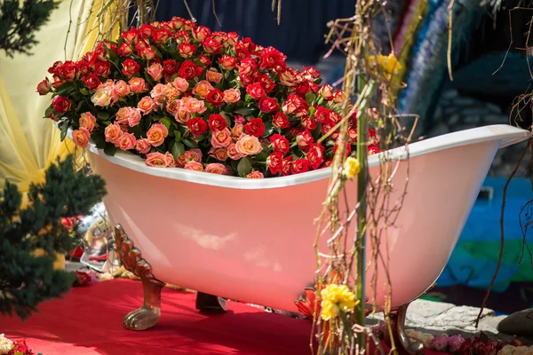 Schoonheid van rozen — Stockfoto