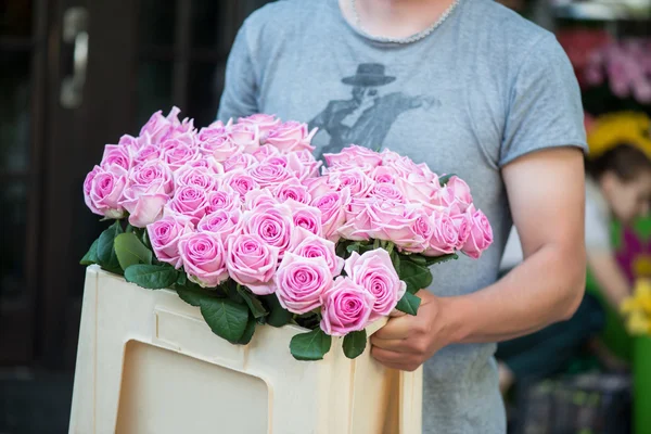 Belleza de rosas — Foto de Stock