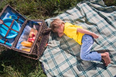 Piknik her zaman zevktir