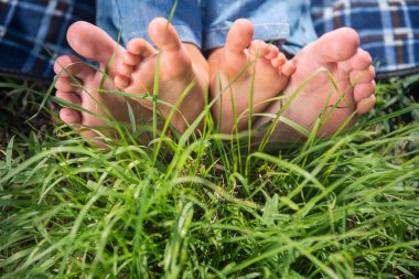 Piknik her zaman zevktir