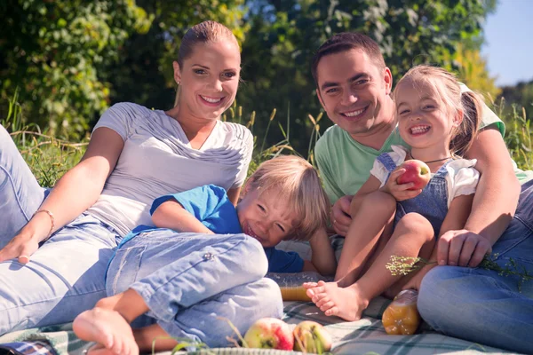 Picknick ist immer Genuss — Stockfoto