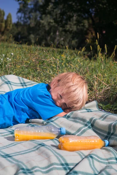 Piknik jest zawsze przyjemność — Zdjęcie stockowe