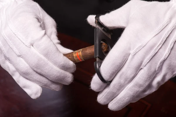 Stilig man med cigarr — Stockfoto