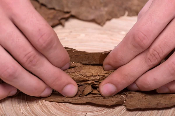 Schöner Mann mit Zigarre — Stockfoto