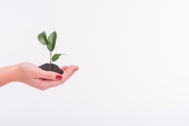 yeni yaşam konsepti