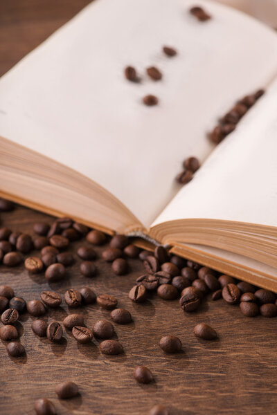 Красота книг
