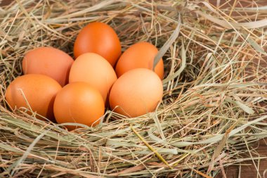 Lezzetli ve besleyici ürün yumurta