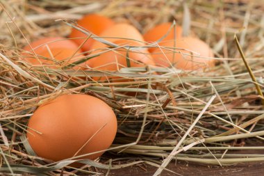 Lezzetli ve besleyici ürün yumurta