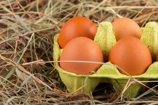 Ovos o produto delicioso e nutritivo — Fotografia de Stock