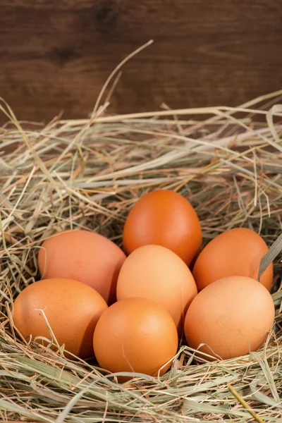 Lezzetli ve besleyici ürün yumurta