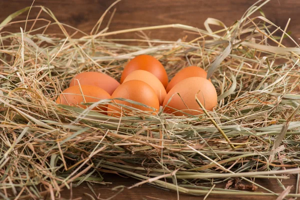 Ovos o produto delicioso e nutritivo — Fotografia de Stock