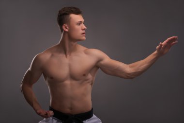 Yakışıklı karate meraklısı