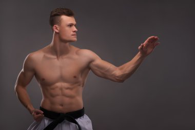 Yakışıklı karate meraklısı