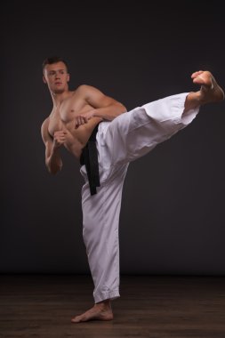 Yakışıklı karate meraklısı