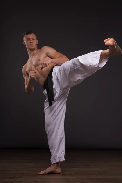 Handsome karate enthusiast — Stock Photo, Image