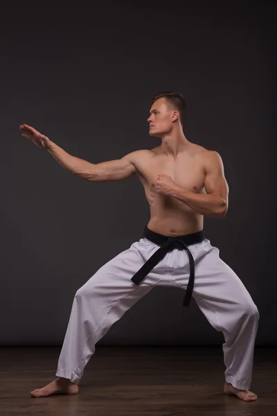 Hermoso entusiasta del karate — Foto de Stock