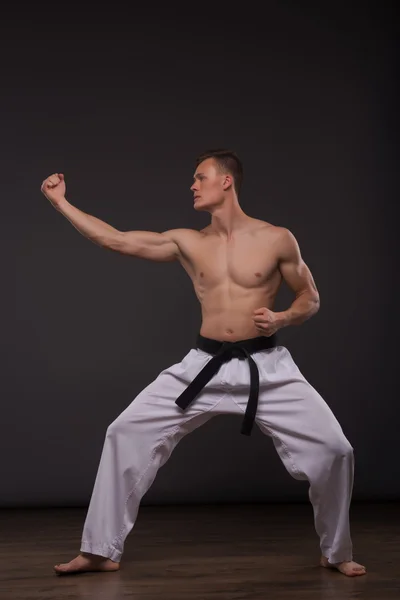 Przystojny karate entuzjastów — Zdjęcie stockowe