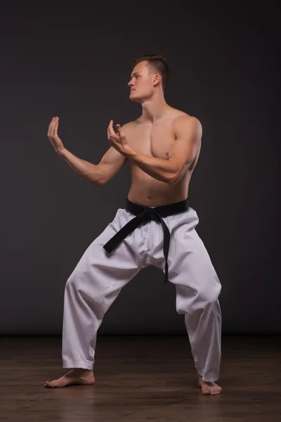 Hermoso entusiasta del karate —  Fotos de Stock