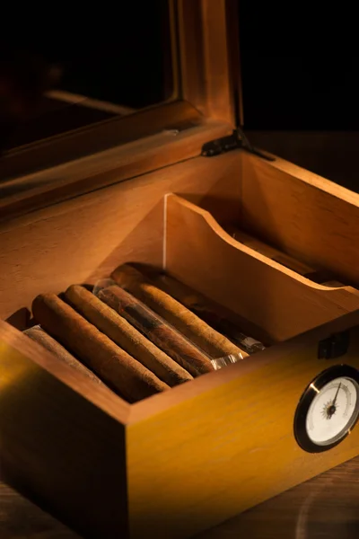 The art of cigars — Stock Photo, Image