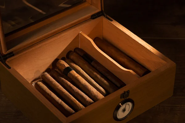 Die Kunst der Zigarren — Stockfoto