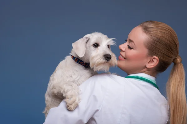 Красивая женщина ветеринар держит симпатичную собаку — стоковое фото