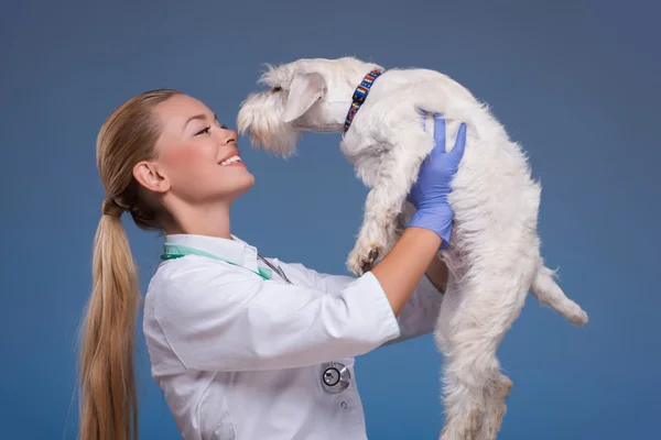 Vet holding a cute dog above head — Stock Photo, Image