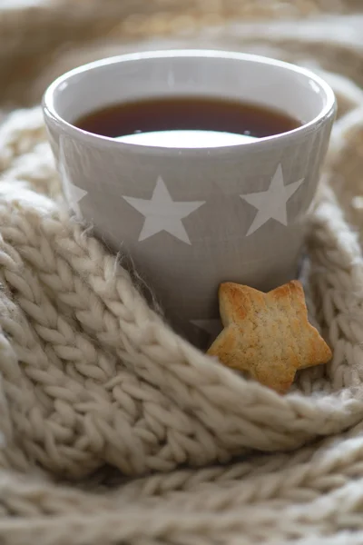 Gezellige winter cup met cookies — Stockfoto