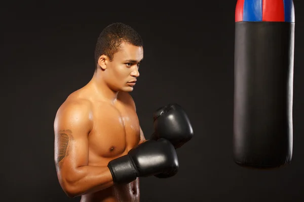 Guapo boxeador en el entrenamiento — Foto de Stock