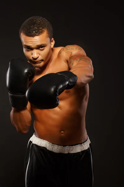 Handsome boxer posing in boxing gloves — Stock Photo, Image