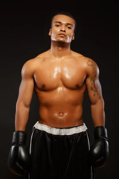 Handsome boxer posing in boxing gloves — Stock Photo, Image