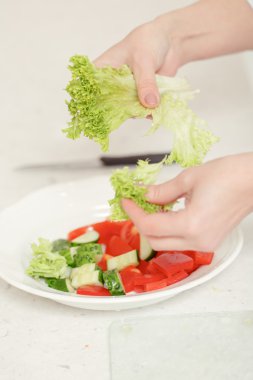 Salata için taze sebze