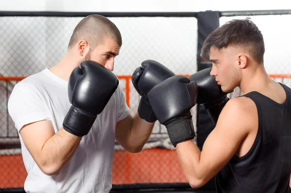 Boxers lutar em um sparring — Fotografia de Stock