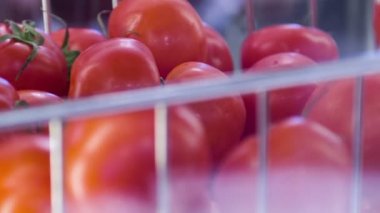 Ne Restoran daha iyidir