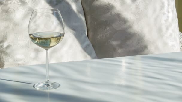 Bicchiere di vino per il relax — Video Stock
