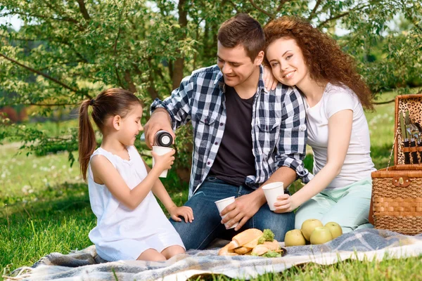 Parkta çok güzel aile pikniği — Stok fotoğraf