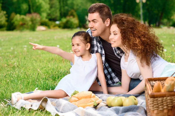 Gelukkige familie op een lunch in het park — Stockfoto