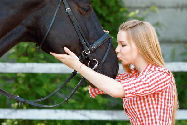 Vivacious young girl kissing the horse — Stock Photo, Image