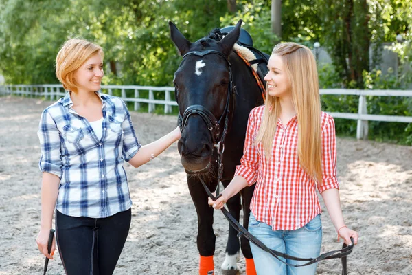 Girls standing alongside with the horse — Stock Photo, Image
