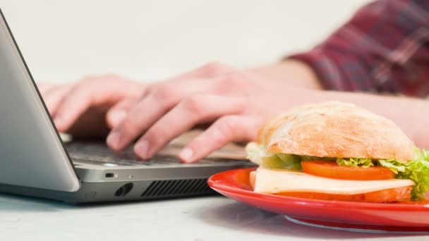 Close up of sandwich on plate and typing man — Stock Video