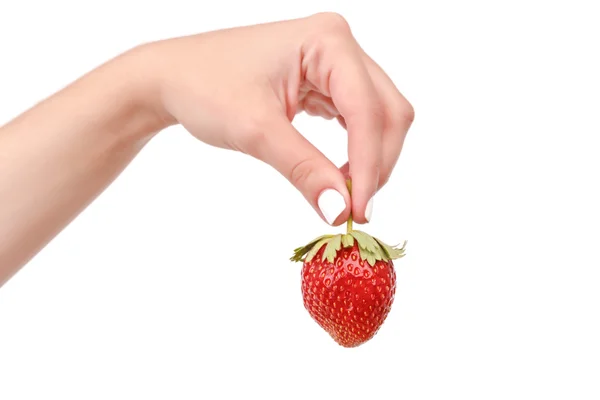 Gros plan de la femme tenant des fraises — Photo