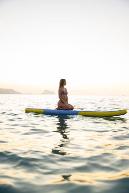 Sakin bir kadın okyanustaki kürek tahtasına sakince oturur. Sakin atmosfer ve sakin sular doğaya mükemmel bir kaçış sağlar..