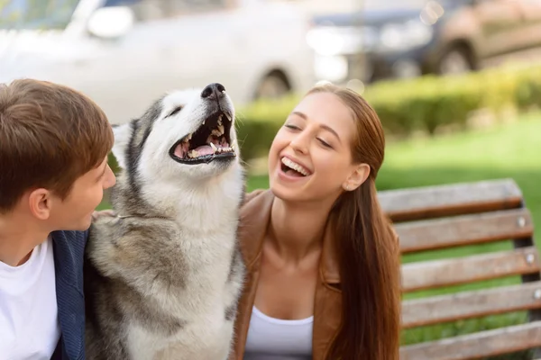 Bella ragazza che gioca con il cane — Foto Stock